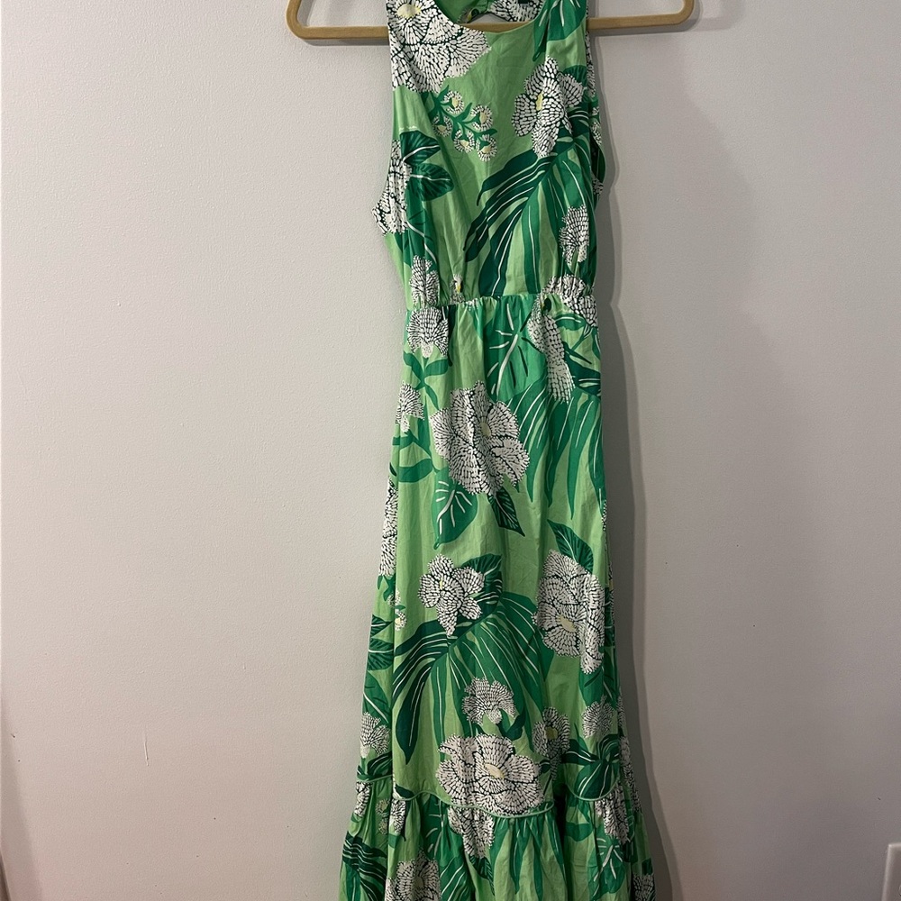 FARM Rio Green Dewdrop Floral Maxi Dress - Picture 2 of 4